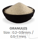 Dehydrated White Onion Granules